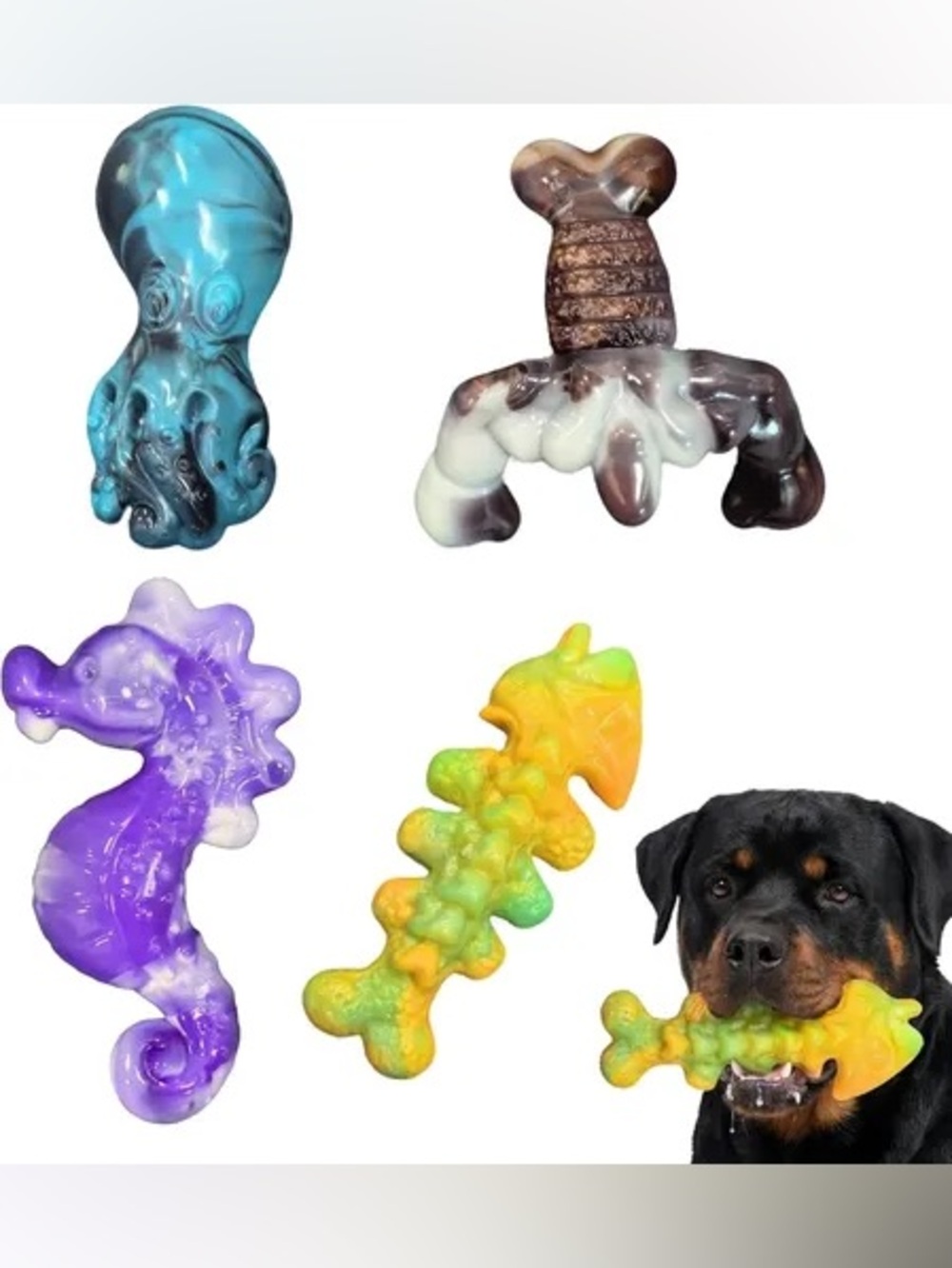 Sea Creature Heavy Chew Toy Pack for Dogs